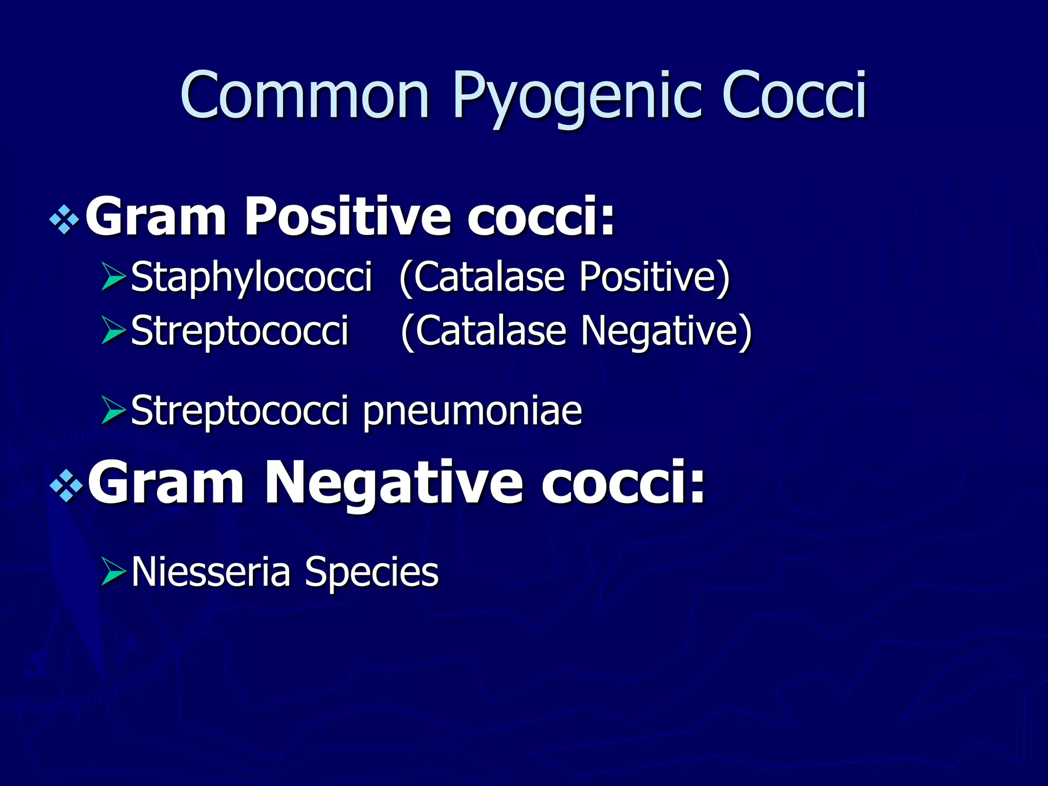 Gram Positive cocci:
Staphylococci (Catalase Positive)
Streptococci (Catalase Negative)
Streptococci pneumoniae
Gram Negative cocci:
Niesseria Species
Common Pyogenic Cocci
 