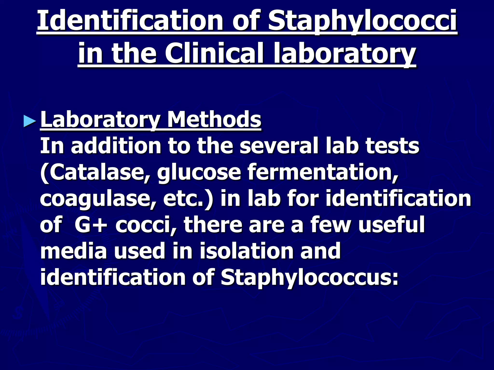 Identification of Staphylococci
in the Clinical laboratory
►Laboratory Methods
In addition to the several lab tests
(Catalase, glucose fermentation,
coagulase, etc.) in lab for identification
of G+ cocci, there are a few useful
media used in isolation and
identification of Staphylococcus:
 