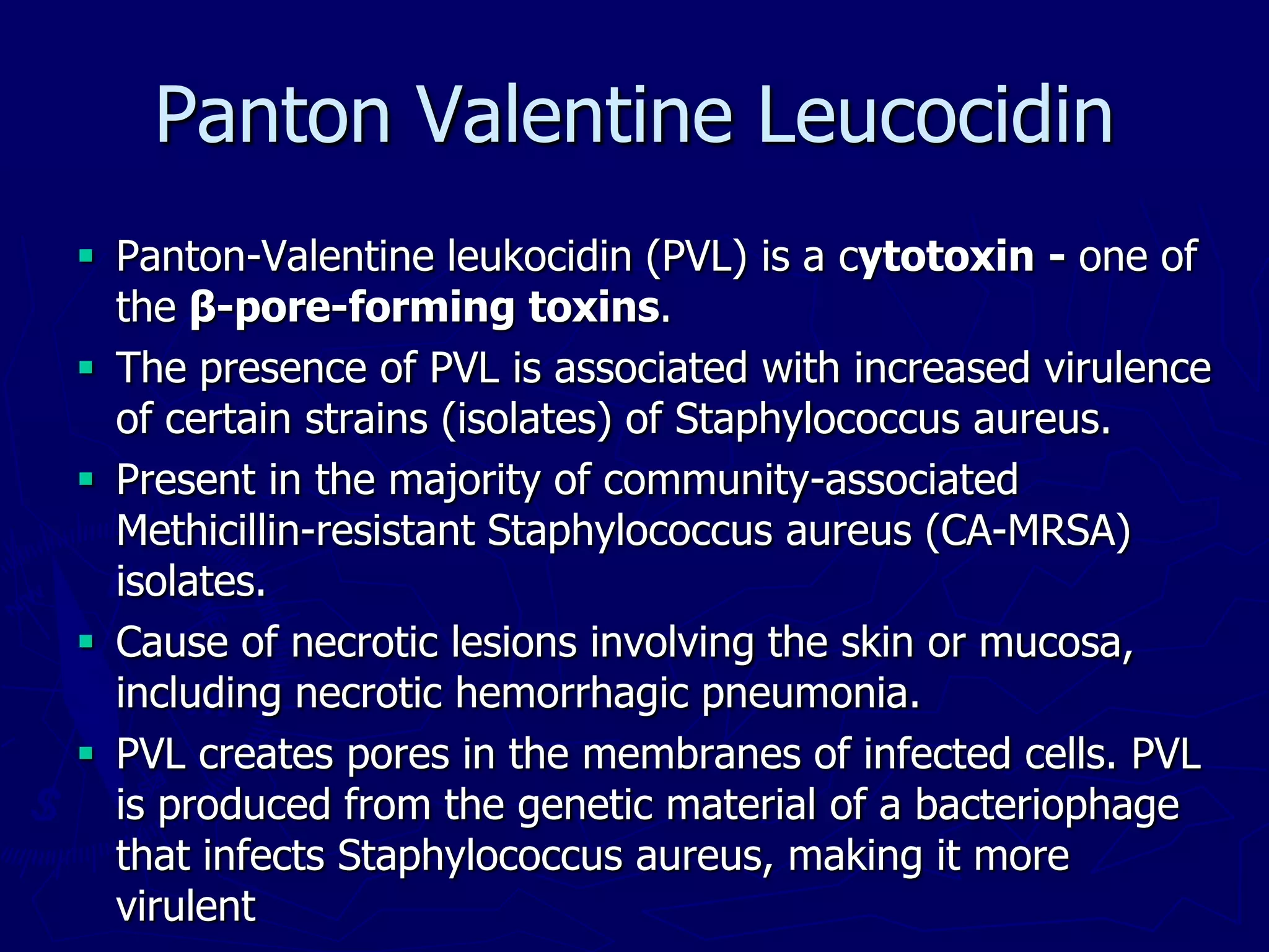 Panton Valentine Leucocidin
 Panton-Valentine leukocidin (PVL) is a cytotoxin - one of
the β-pore-forming toxins.
 The presence of PVL is associated with increased virulence
of certain strains (isolates) of Staphylococcus aureus.
 Present in the majority of community-associated
Methicillin-resistant Staphylococcus aureus (CA-MRSA)
isolates.
 Cause of necrotic lesions involving the skin or mucosa,
including necrotic hemorrhagic pneumonia.
 PVL creates pores in the membranes of infected cells. PVL
is produced from the genetic material of a bacteriophage
that infects Staphylococcus aureus, making it more
virulent
 