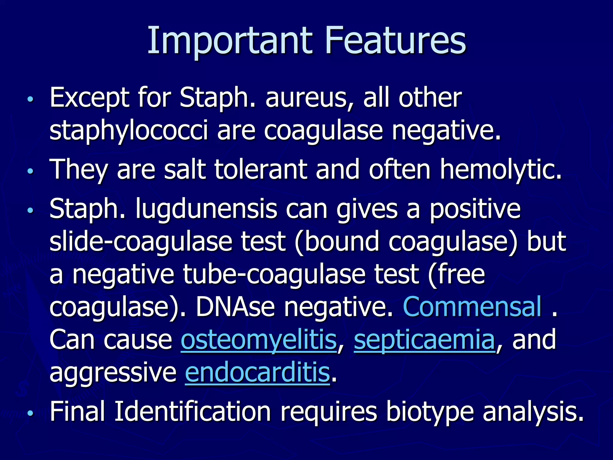 Important Features
• Except for Staph. aureus, all other
staphylococci are coagulase negative.
• They are salt tolerant and often hemolytic.
• Staph. lugdunensis can gives a positive
slide-coagulase test (bound coagulase) but
a negative tube-coagulase test (free
coagulase). DNAse negative. Commensal .
Can cause osteomyelitis, septicaemia, and
aggressive endocarditis.
• Final Identification requires biotype analysis.
 