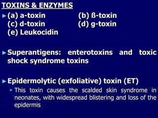 TOXINS & ENZYMES
►(a) a-toxin (b) ß-toxin
(c) d-toxin (d) g-toxin
(e) Leukocidin
►Superantigens: enterotoxins and toxic
shock syndrome toxins
►Epidermolytic (exfoliative) toxin (ET)
 This toxin causes the scalded skin syndrome in
neonates, with widespread blistering and loss of the
epidermis
 