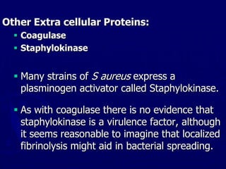 Other Extra cellular Proteins:
 Coagulase
 Staphylokinase
 Many strains of S aureus express a
plasminogen activator called Staphylokinase.
 As with coagulase there is no evidence that
staphylokinase is a virulence factor, although
it seems reasonable to imagine that localized
fibrinolysis might aid in bacterial spreading.
 
