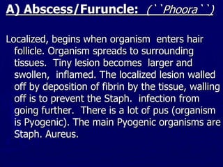 A) Abscess/Furuncle: (``Phoora``)
Localized, begins when organism enters hair
follicle. Organism spreads to surrounding
tissues. Tiny lesion becomes larger and
swollen, inflamed. The localized lesion walled
off by deposition of fibrin by the tissue, walling
off is to prevent the Staph. infection from
going further. There is a lot of pus (organism
is Pyogenic). The main Pyogenic organisms are
Staph. Aureus.
 