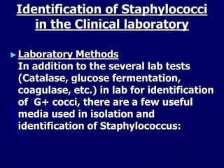 Identification of Staphylococci
in the Clinical laboratory
►Laboratory Methods
In addition to the several lab tests
(Catalase, glucose fermentation,
coagulase, etc.) in lab for identification
of G+ cocci, there are a few useful
media used in isolation and
identification of Staphylococcus:
 