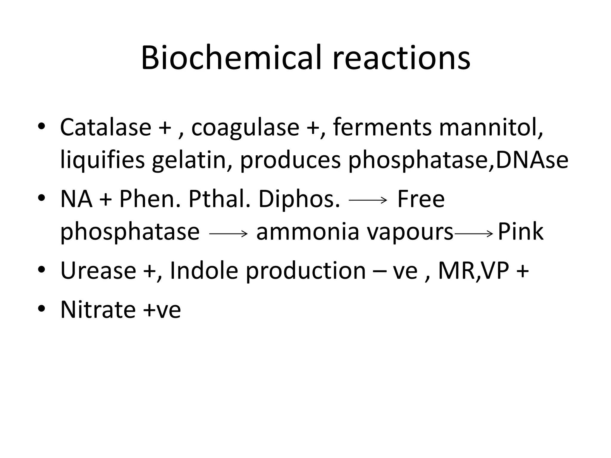 Biochemical reactions
• Catalase + , coagulase +, ferments mannitol,
liquifies gelatin, produces phosphatase,DNAse
• NA + Phen. Pthal. Diphos. Free
phosphatase ammonia vapours Pink
• Urease +, Indole production – ve , MR,VP +
• Nitrate +ve
 
