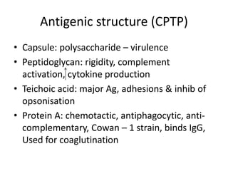 Antigenic structure (CPTP)
• Capsule: polysaccharide – virulence
• Peptidoglycan: rigidity, complement
activation, cytokine production
• Teichoic acid: major Ag, adhesions & inhib of
opsonisation
• Protein A: chemotactic, antiphagocytic, anti-
complementary, Cowan – 1 strain, binds IgG,
Used for coaglutination
 