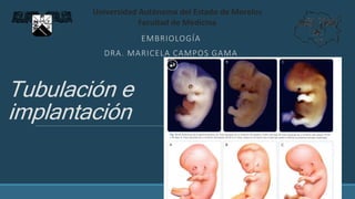 Tubulación e
implantación
EMBRIOLOGÍA
DRA. MARICELA CAMPOS GAMA
Universidad Autónoma del Estado de Morelos
Facultad de Medicina
 