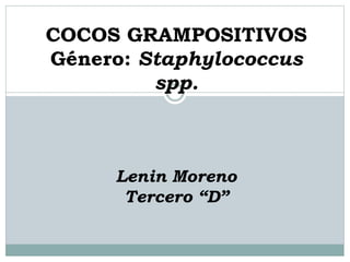 COCOS GRAMPOSITIVOS
Género: Staphylococcus
spp.
Lenin Moreno
Tercero “D”
 