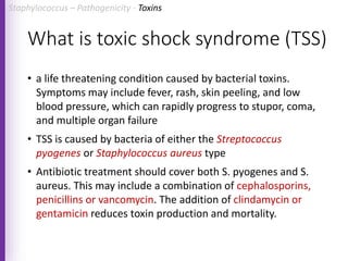 What is toxic shock syndrome (TSS)
• a life threatening condition caused by bacterial toxins.
Symptoms may include fever, rash, skin peeling, and low
blood pressure, which can rapidly progress to stupor, coma,
and multiple organ failure
• TSS is caused by bacteria of either the Streptococcus
pyogenes or Staphylococcus aureus type
• Antibiotic treatment should cover both S. pyogenes and S.
aureus. This may include a combination of cephalosporins,
penicillins or vancomycin. The addition of clindamycin or
gentamicin reduces toxin production and mortality.
Staphylococcus – Pathogenicity - Toxins
 