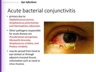 Acute bacterial conjunctivitis
• primary due to
Staphylococcus aureus,
Streptococcus pneumoniae,
and Haemophilus influenzae.
• Other pathogens responsible
for acute disease are
Pseudomonas aeruginosa,
Moraxella lacunata,
Streptococcus viridans, and
Proteus mirabilis.
• may be spread from hand to
eye contact or through
adjacent mucosal tissues
colonization such as nasal or
sinus mucosa.
Staphylococcus – Eye Infections
 