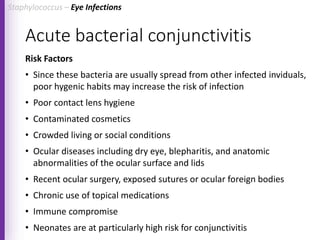 Acute bacterial conjunctivitis
Risk Factors
• Since these bacteria are usually spread from other infected inviduals,
poor hygenic habits may increase the risk of infection
• Poor contact lens hygiene
• Contaminated cosmetics
• Crowded living or social conditions
• Ocular diseases including dry eye, blepharitis, and anatomic
abnormalities of the ocular surface and lids
• Recent ocular surgery, exposed sutures or ocular foreign bodies
• Chronic use of topical medications
• Immune compromise
• Neonates are at particularly high risk for conjunctivitis
Staphylococcus – Eye Infections
 
