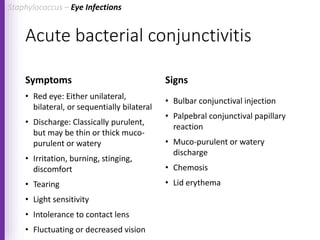 Acute bacterial conjunctivitis
Symptoms
• Red eye: Either unilateral,
bilateral, or sequentially bilateral
• Discharge: Classically purulent,
but may be thin or thick muco-
purulent or watery
• Irritation, burning, stinging,
discomfort
• Tearing
• Light sensitivity
• Intolerance to contact lens
• Fluctuating or decreased vision
Signs
• Bulbar conjunctival injection
• Palpebral conjunctival papillary
reaction
• Muco-purulent or watery
discharge
• Chemosis
• Lid erythema
Staphylococcus – Eye Infections
 