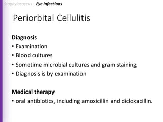 Periorbital Cellulitis
Diagnosis
• Examination
• Blood cultures
• Sometime microbial cultures and gram staining
• Diagnosis is by examination
Medical therapy
• oral antibiotics, including amoxicillin and dicloxacillin.
Staphylococcus – Eye Infections
 