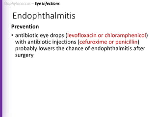 Endophthalmitis
Prevention
• antibiotic eye drops (levofloxacin or chloramphenicol)
with antibiotic injections (cefuroxime or penicillin)
probably lowers the chance of endophthalmitis after
surgery
Staphylococcus – Eye Infections
 
