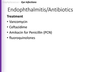 Endophthalmitis/Antibiotics
Treatment
• Vancomycin
• Ceftazidime
• Amikacin for Penicillin (PCN)
• fluoroquinolones
Staphylococcus – Eye Infections
 