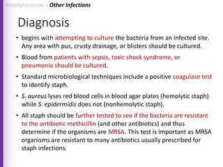 Diagnosis
• begins with attempting to culture the bacteria from an infected site.
Any area with pus, crusty drainage, or blisters should be cultured.
• Blood from patients with sepsis, toxic shock syndrome, or
pneumonia should be cultured.
• Standard microbiological techniques include a positive coagulase test
to identify staph.
• S. aureus lyses red blood cells in blood agar plates (hemolytic staph)
while S. epidermidis does not (nonhemolytic staph).
• All staph should be further tested to see if the bacteria are resistant
to the antibiotic methicillin (and other antibiotics) and thus
determine if the organisms are MRSA. This test is important as MRSA
organisms are resistant to many antibiotics usually prescribed for
staph infections.
Staphylococcus – Other Infections
 