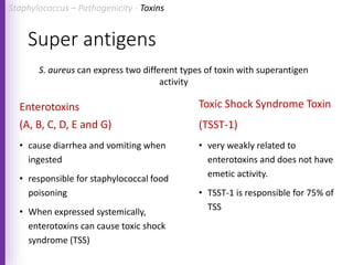 Super antigens
Enterotoxins
(A, B, C, D, E and G)
• cause diarrhea and vomiting when
ingested
• responsible for staphylococcal food
poisoning
• When expressed systemically,
enterotoxins can cause toxic shock
syndrome (TSS)
Toxic Shock Syndrome Toxin
(TSST-1)
• very weakly related to
enterotoxins and does not have
emetic activity.
• TSST-1 is responsible for 75% of
TSS
S. aureus can express two different types of toxin with superantigen
activity
Staphylococcus – Pathogenicity - Toxins
 