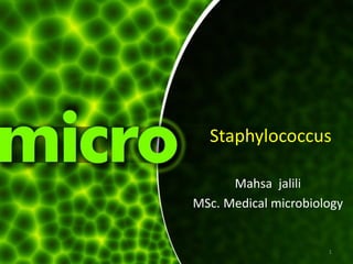 Staphylococcus
Mahsa jalili
MSc. Medical microbiology
1
 
