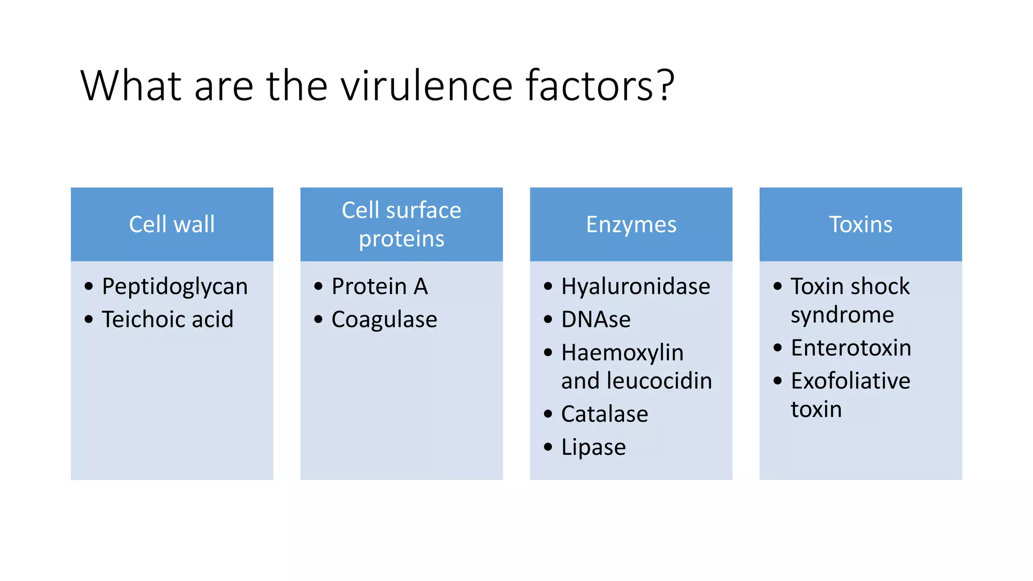 What are the virulence factors?
Cell wall
• Peptidoglycan
• Teichoic acid
Cell surface
proteins
• Protein A
• Coagulase
Enzymes
• Hyaluronidase
• DNAse
• Haemoxylin
and leucocidin
• Catalase
• Lipase
Toxins
• Toxin shock
syndrome
• Enterotoxin
• Exofoliative
toxin
 