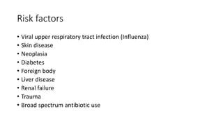 Risk factors
• Viral upper respiratory tract infection (Influenza)
• Skin disease
• Neoplasia
• Diabetes
• Foreign body
• Liver disease
• Renal failure
• Trauma
• Broad spectrum antibiotic use
 