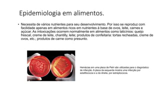 Epidemiologia em alimentos.
• Necessita de vários nutrientes para seu desenvolvimento. Por isso se reproduz com
facilidade apenas em alimentos ricos em nutrientes à base de ovos, leite, carnes e
açúcar. As intoxicações ocorrem normalmente em alimentos como laticínios: queijo
frescal, creme de leite, chantilly, leite; produtos de confeitaria: tortas recheadas, creme de
ovos, etc.; produtos de carne como presunto.
Hemácias em uma placa de Petri são utilizadas para o diagnóstico
de infecção. A placa da esquerda mostra uma infecção por
estafilococos e a da direita, por estreptococos.
 