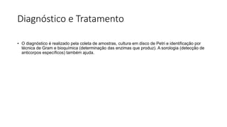 Diagnóstico e Tratamento
• O diagnóstico é realizado pela coleta de amostras, cultura em disco de Petri e identificação por
técnica de Gram e bioquímica (determinação das enzimas que produz). A sorologia (detecção de
anticorpos específicos) também ajuda.
 