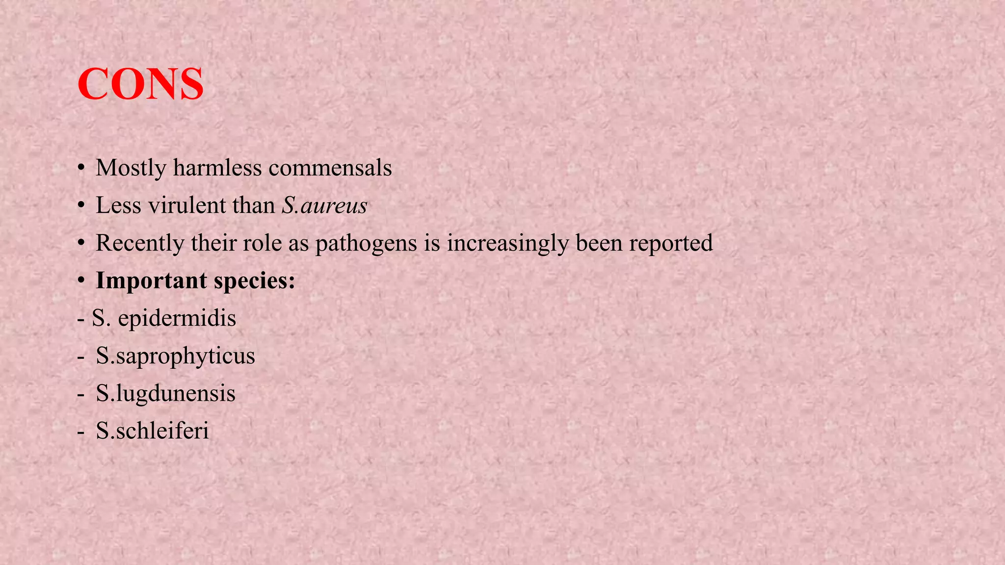 Staphylococcus | PPTX