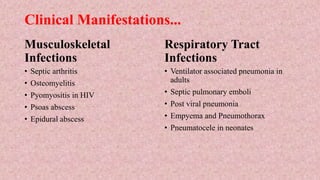 Clinical Manifestations...
Musculoskeletal
Infections
• Septic arthritis
• Osteomyelitis
• Pyomyositis in HIV
• Psoas abscess
• Epidural abscess
Respiratory Tract
Infections
• Ventilator associated pneumonia in
adults
• Septic pulmonary emboli
• Post viral pneumonia
• Empyema and Pneumothorax
• Pneumatocele in neonates
 