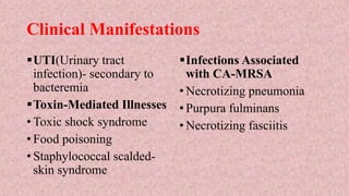 Clinical Manifestations
UTI(Urinary tract
infection)- secondary to
bacteremia
Toxin-Mediated Illnesses
• Toxic shock syndrome
• Food poisoning
• Staphylococcal scalded-
skin syndrome
Infections Associated
with CA-MRSA
• Necrotizing pneumonia
• Purpura fulminans
• Necrotizing fasciitis
 