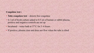 Coagulase test :
• Tube coagulase test – detects free coagulase
• 0.1 ml of broth culture added to 0.5 ml of human or rabbit plasma,
positive and negative controls are set up
• Incubated – water bath at 37°C for 3–6 hours
• If positive, plasma clots and does not flow when the tube is tilted
 
