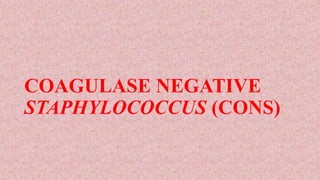 COAGULASE NEGATIVE
STAPHYLOCOCCUS (CONS)
 