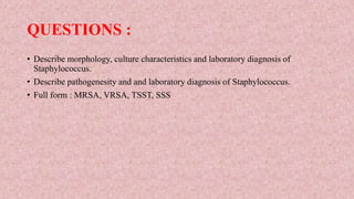 QUESTIONS :
• Describe morphology, culture characteristics and laboratory diagnosis of
Staphylococcus.
• Describe pathogenesity and and laboratory diagnosis of Staphylococcus.
• Full form : MRSA, VRSA, TSST, SSS
 