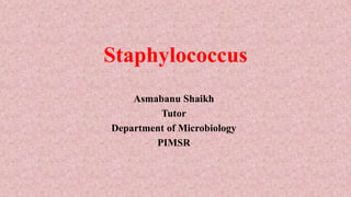 Staphylococcus
Asmabanu Shaikh
Tutor
Department of Microbiology
PIMSR
 