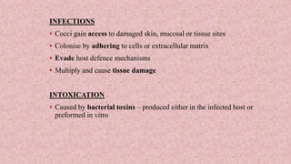 INFECTIONS
• Cocci gain access to damaged skin, mucosal or tissue sites
• Colonise by adhering to cells or extracellular matrix
• Evade host defence mechanisms
• Multiply and cause tissue damage
INTOXICATION
• Caused by bacterial toxins – produced either in the infected host or
preformed in vitro
 