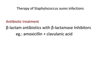 Therapy of Staphylococcus aures infections
Antibiotic treatment
β-lactam antibiotics with β-lactamase Inhibitors
eg.: amoxicillin + clavulanic acid
 