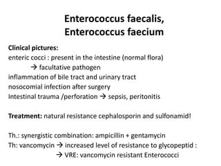 Enterococcus faecalis,
Enterococcus faecium
Clinical pictures:
enteric cocci : present in the intestine (normal flora)
 facultative pathogen
inflammation of bile tract and urinary tract
nosocomial infection after surgery
Intestinal trauma /perforation  sepsis, peritonitis
Treatment: natural resistance cephalosporin and sulfonamid!
Th.: synergistic combination: ampicillin + gentamycin
Th: vancomycin  increased level of resistance to glycopeptid :
 VRE: vancomycin resistant Enterococci
 