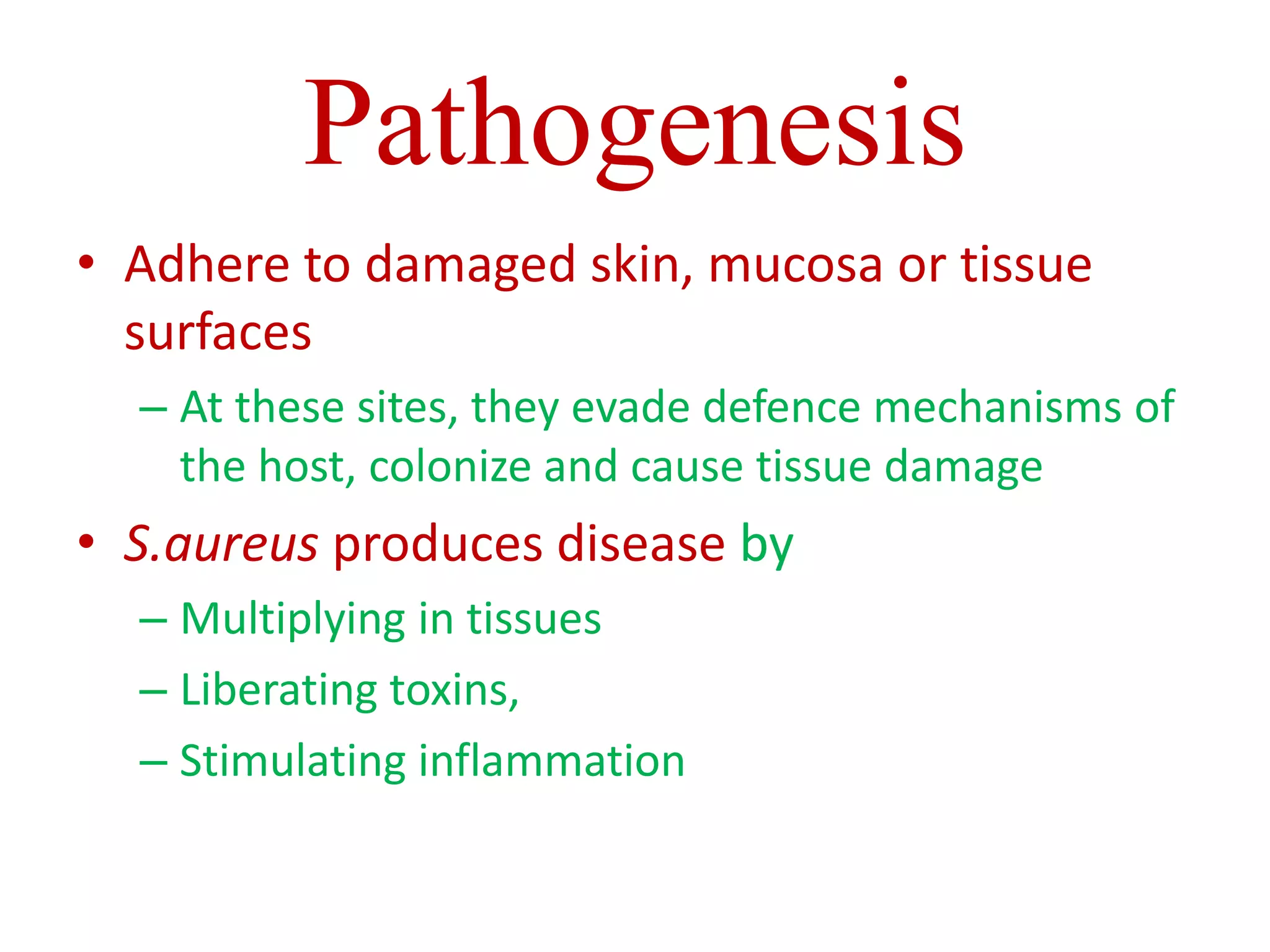 Pathogenesis
• Adhere to damaged skin, mucosa or tissue
surfaces
– At these sites, they evade defence mechanisms of
the host, colonize and cause tissue damage
• S.aureus produces disease by
– Multiplying in tissues
– Liberating toxins,
– Stimulating inflammation
 
