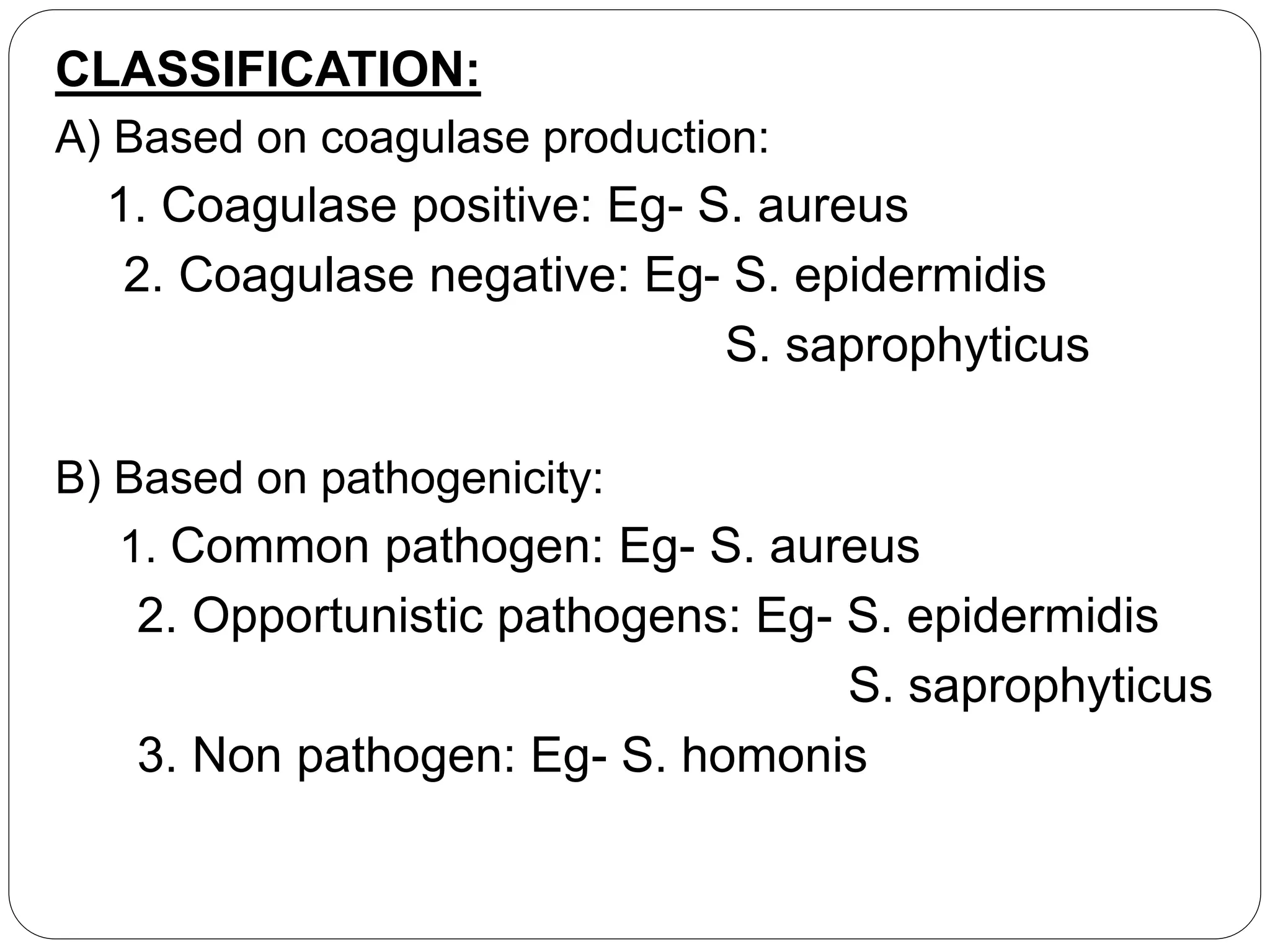CLASSIFICATION:
A) Based on coagulase production:
1. Coagulase positive: Eg- S. aureus
2. Coagulase negative: Eg- S. epidermidis
S. saprophyticus
B) Based on pathogenicity:
1. Common pathogen: Eg- S. aureus
2. Opportunistic pathogens: Eg- S. epidermidis
S. saprophyticus
3. Non pathogen: Eg- S. homonis
 