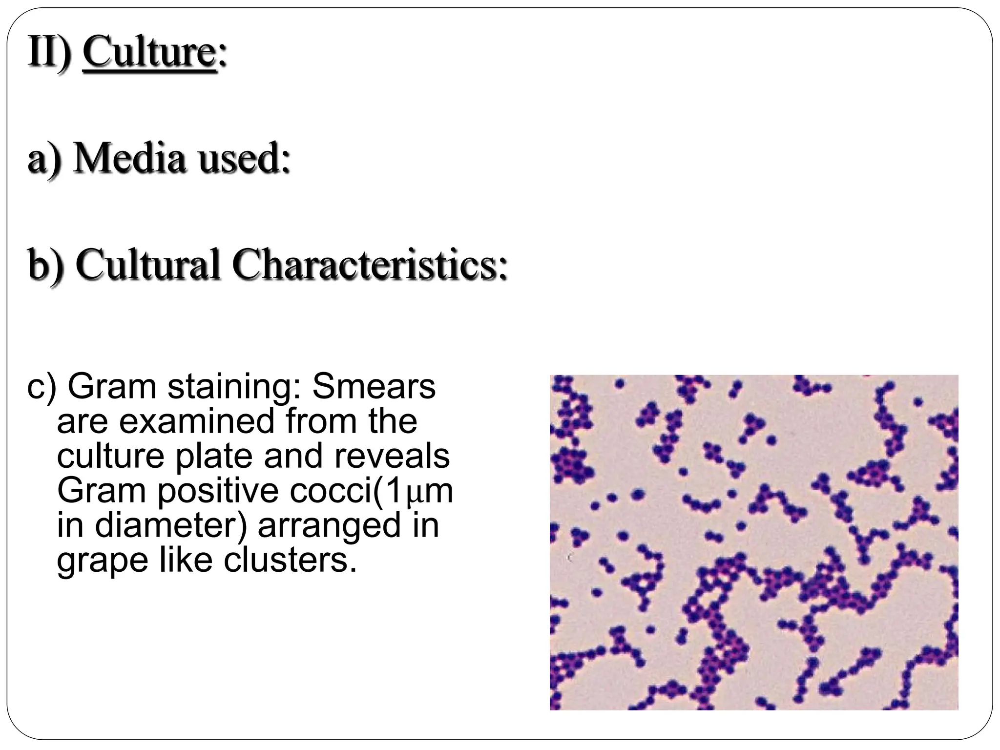 c) Gram staining: Smears
are examined from the
culture plate and reveals
Gram positive cocci(1μm
in diameter) arranged in
grape like clusters.
II) Culture:
a) Media used:
b) Cultural Characteristics:
 