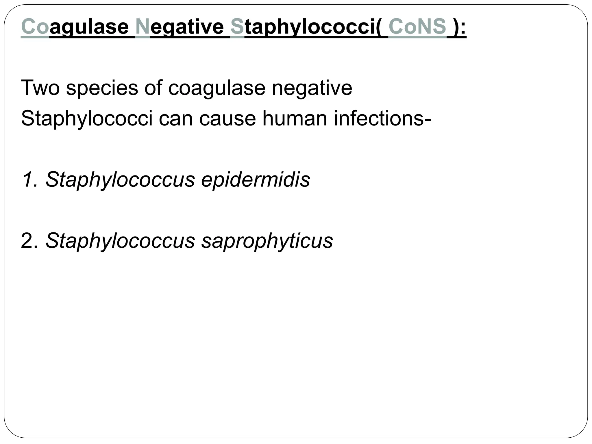 Coagulase Negative Staphylococci( CoNS ):
Two species of coagulase negative
Staphylococci can cause human infections-
1. Staphylococcus epidermidis
2. Staphylococcus saprophyticus
 