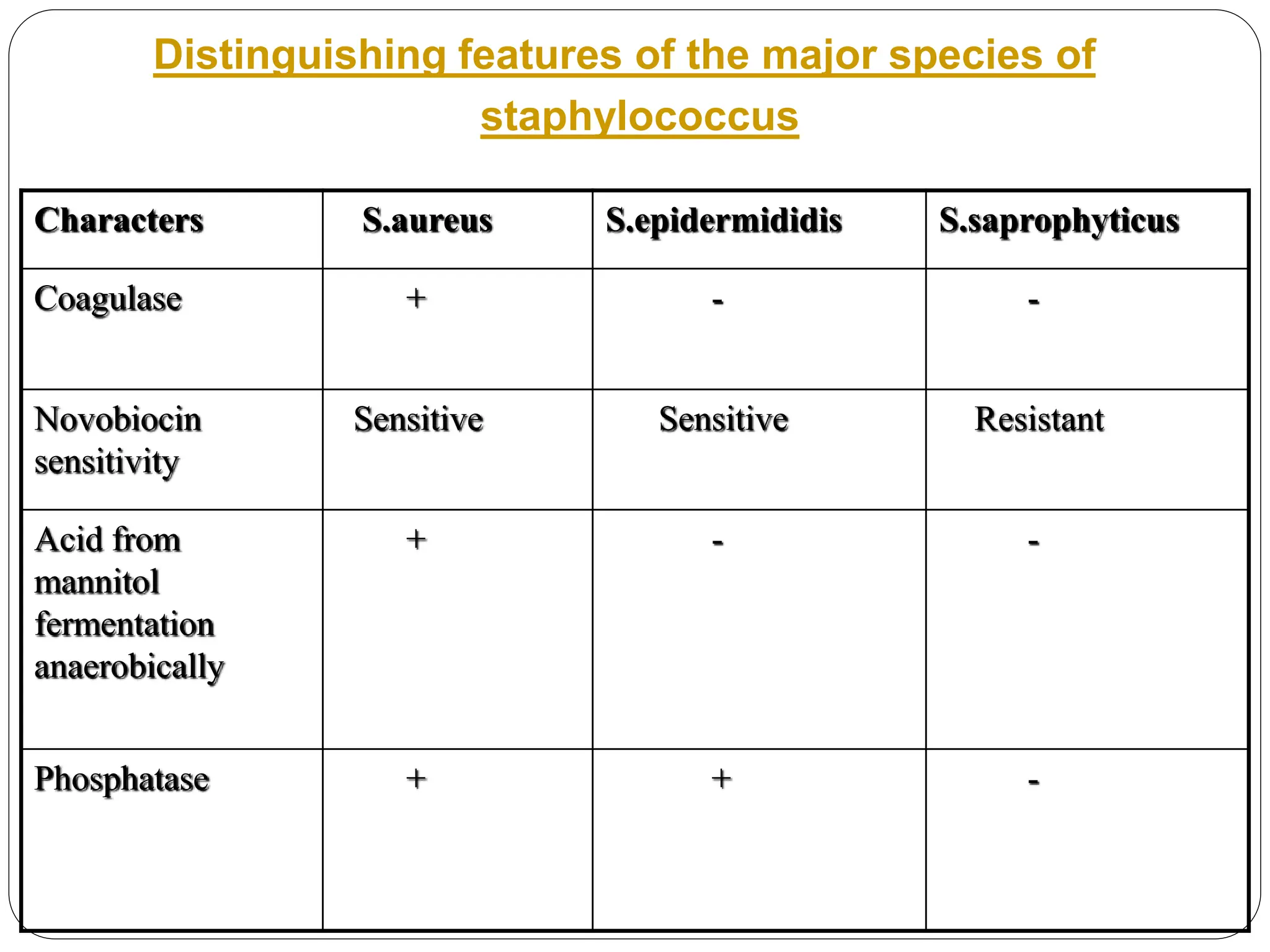 Characters S.aureus S.epidermididis S.saprophyticus
Coagulase + - -
Novobiocin
sensitivity
Sensitive Sensitive Resistant
Acid from
mannitol
fermentation
anaerobically
+ - -
Phosphatase + + -
Distinguishing features of the major species of
staphylococcus
 