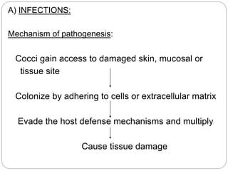 A) INFECTIONS:
Mechanism of pathogenesis:
Cocci gain access to damaged skin, mucosal or
tissue site
Colonize by adhering to cells or extracellular matrix
Evade the host defense mechanisms and multiply
Cause tissue damage
 