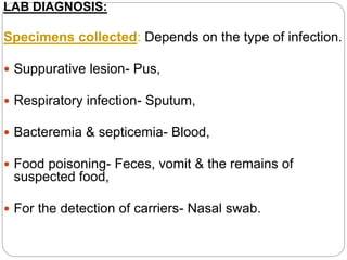 LAB DIAGNOSIS:
Specimens collected: Depends on the type of infection.
 Suppurative lesion- Pus,
 Respiratory infection- Sputum,
 Bacteremia & septicemia- Blood,
 Food poisoning- Feces, vomit & the remains of
suspected food,
 For the detection of carriers- Nasal swab.
 