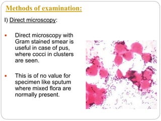 I) Direct microscopy:
 Direct microscopy with
Gram stained smear is
useful in case of pus,
where cocci in clusters
are seen.
 This is of no value for
specimen like sputum
where mixed flora are
normally present.
Methods of examination:
 