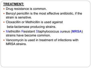 TREATMENT:
 Drug resistance is common.
 Benzyl penicillin is the most effective antibiotic, if the
strain is sensitive.
 Cloxacillin or Methicillin is used against
beta-lactamase producing strains.
 Methicillin Resistant Staphylococcus aureus (MRSA)
strains have become common.
 Vancomycin is used in treatment of infections with
MRSA strains.
 