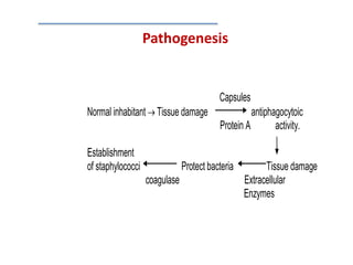 Pathogenesis
Capsules
Normal inhabitant  Tissue damage antiphagocytoic
Protein A activity.
Establishment
of staphylococci Protect bacteria Tissue damage
coagulase Extracellular
Enzymes
 