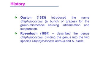 History
 Ogston (1883) introduced the name
Staphylococcus (a bunch of grapes) for the
group-micrococci causing inflammation and
suppuration.
 Rosenbach (1884) – described the genus
Staphylococcus, dividing the genus into the two
species Staphylococcus aureus and S. albus.
 
