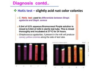  Hotis test – slightly acid rust color colonies
Diagnosis contd..
 