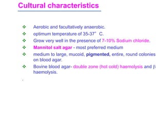 Cultural characteristics
 Aerobic and facultatively anaerobic.
 optimum temperature of 35-37°C.
 Grow very well in the presence of 7-10% Sodium chloride.
 Mannitol salt agar - most preferred medium
 medium to large, mucoid, pigmented, entire, round colonies
on blood agar.
 Bovine blood agar- double zone (hot cold) haemolysis and 
haemolysis.
.
 