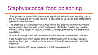 Staphylococcal food poisoning
• Staphylococcus aureus infections cause significant morbidity and mortality both in
the developing and developed nations . It accounts for up to one third of foodborne
gastrointestinal illnesses
• The presence of Staphylococcus aureus in fish and products can mainly indicate
contamination from the skin, mouth and nostrils of infected handlers or healthy
carriers, during stages of capture, transport, storage, processing and preparation
processes.
• Source of staphylococci to foods are mainly from human and domestic animals.
• Food handlers are main source of food contamination with S. aureus. Besides,
equipment and food contact surfaces also contribute for contamination with this
organism.
• It is an indicator of hygienic practices in a fish processing unit
 
